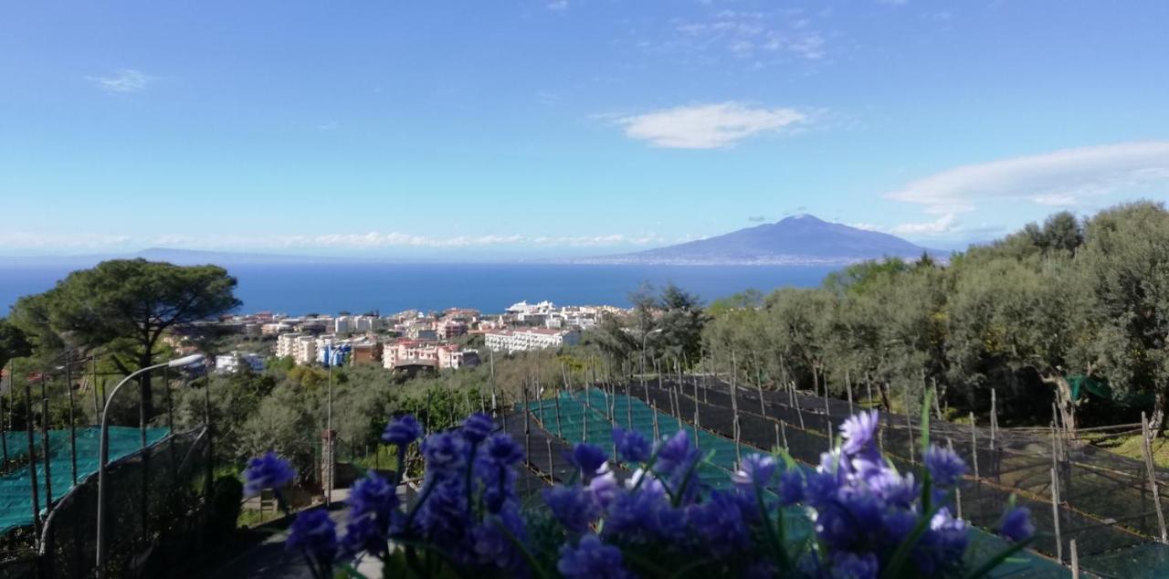 Sorrento Dolce Casa Apartment Exterior foto